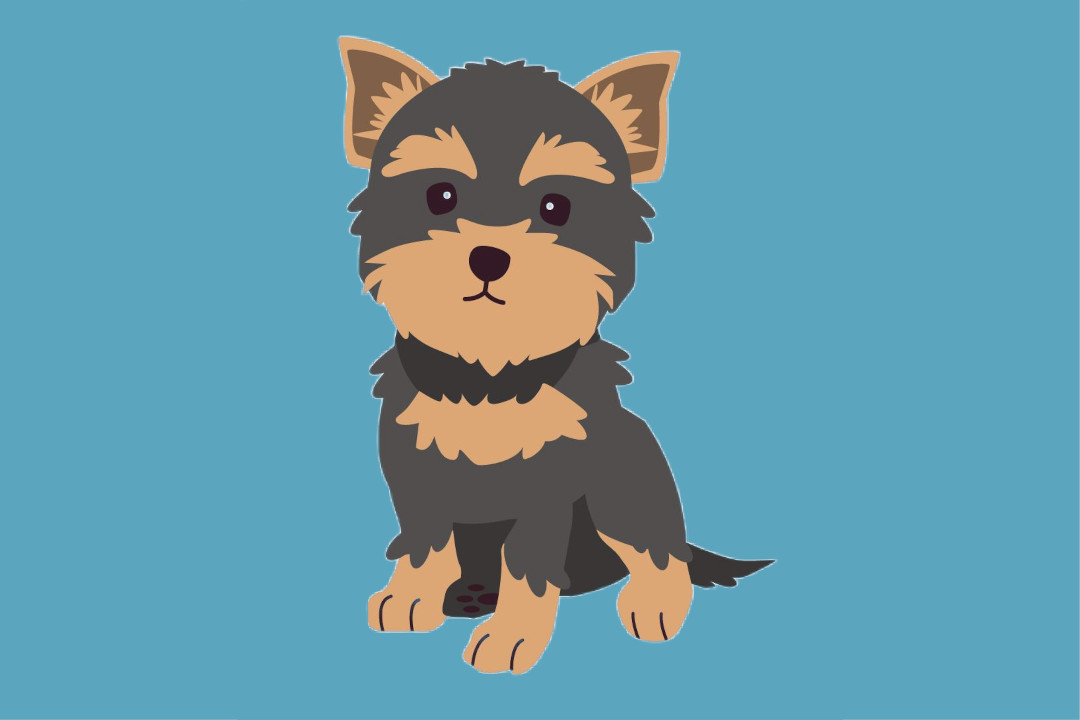 New Jersey Rescue Doctrine Does Not Apply To Rescue of Pets